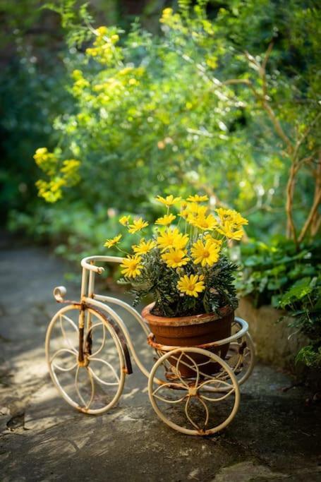 Monica Appartamento Con Giardino Al Ponte Vecchio Florence Ngoại thất bức ảnh