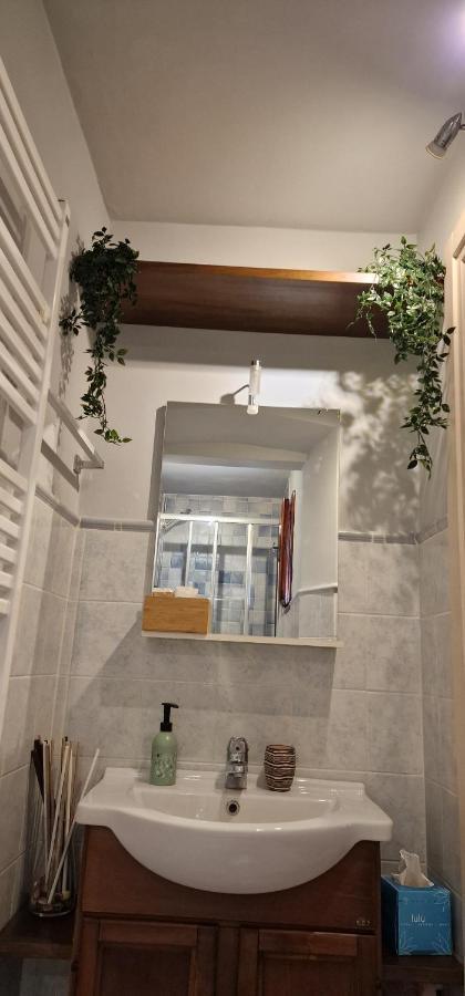 Monica Appartamento Con Giardino Al Ponte Vecchio Florence Ngoại thất bức ảnh